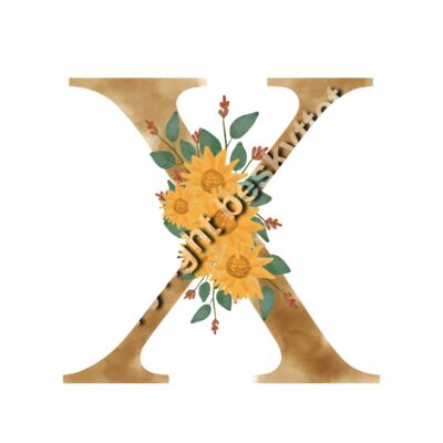 MONOGRAM 2X Miniaturansicht